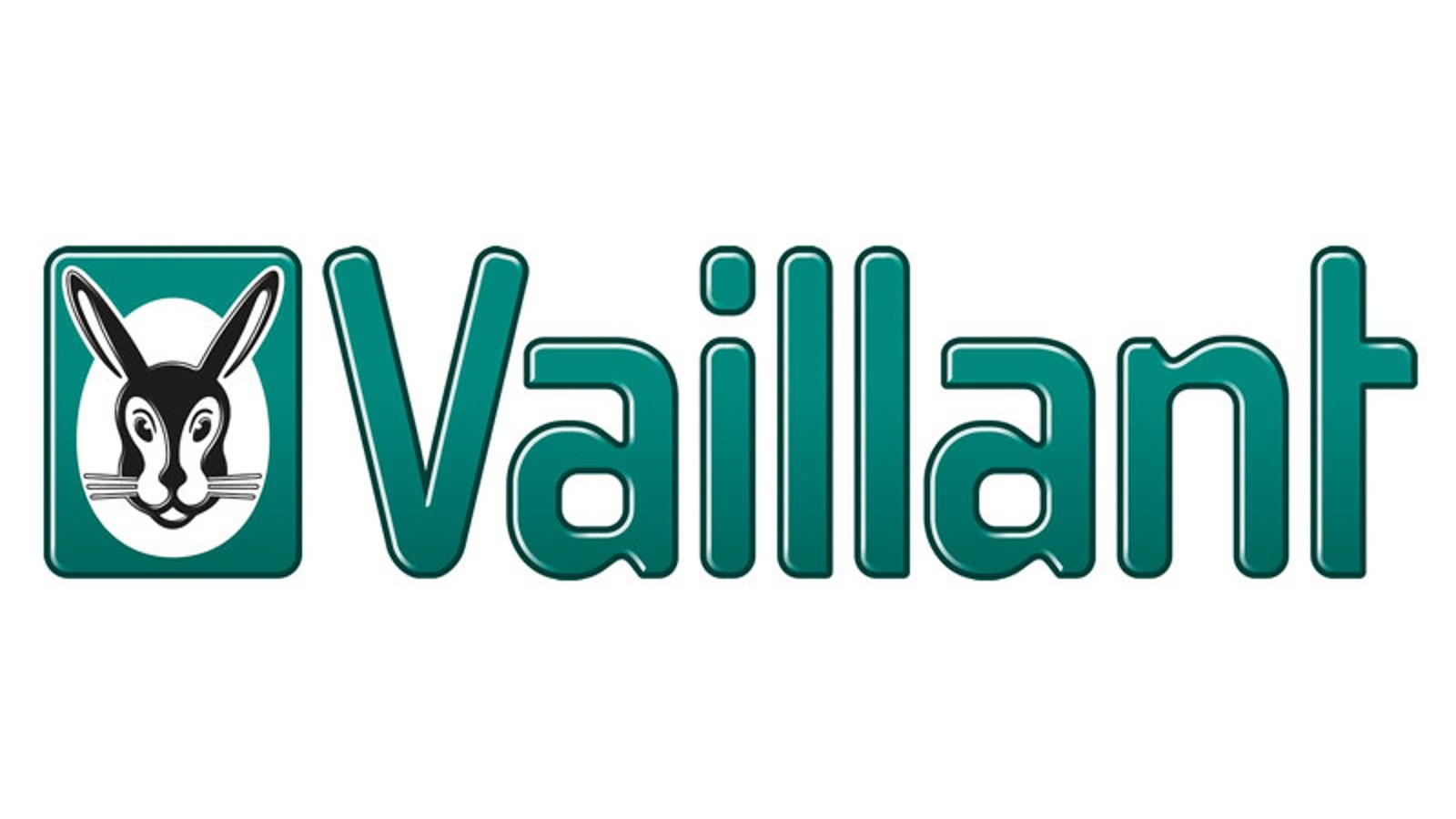 Успешное завершение roll-out проекта в компании Vaillant Group